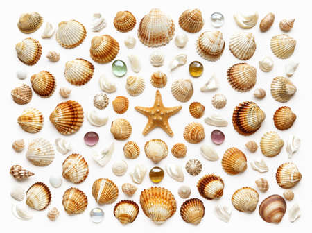 Pattern of seashells, glass beads and starfish. Isolated on white. top viewの写真素材