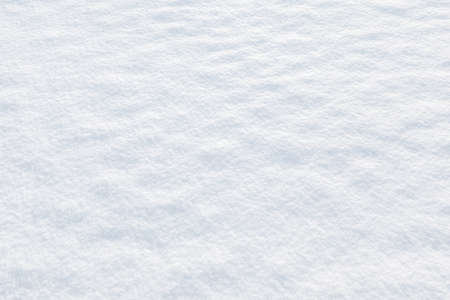 texture of the snow on a sunny winter dayの写真素材