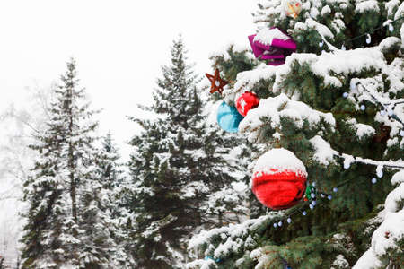 Decorated Christmas tree with colored balls in the snowの写真素材
