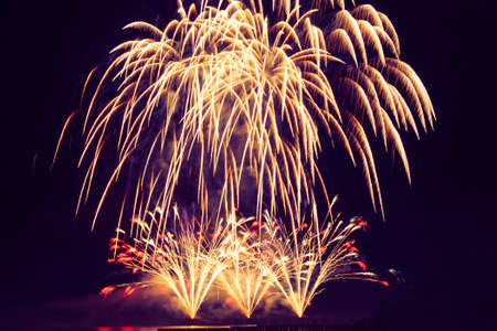 Festive fireworks similar to the golden rain against the background of the night sky