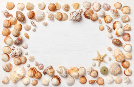 Exotic sea shells on a white wooden background. Concept of summer travel and beach holidays. Flat lay, copy space, top view. Mock-upの写真素材