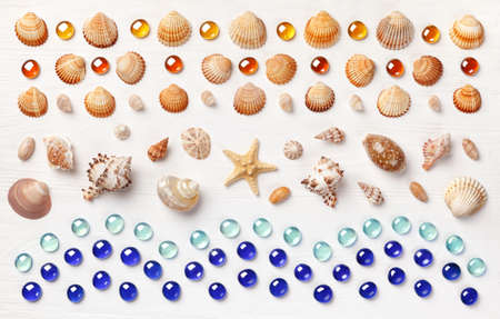 Exotic sea shells and glass beadson a white wooden background. Concept of summer travel and beach...