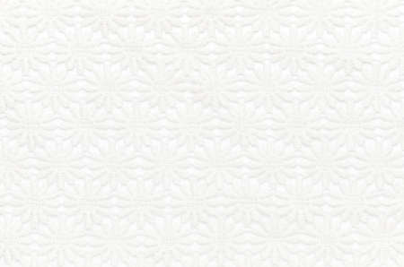 Beautiful white lace on white background.