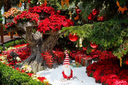 Singapore, Singapore-November 25, 2019: Gardens by the Bay, Flower Dome, beautiful Christmas decorationsのeditorial素材