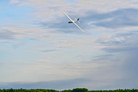 Glider flying above the forestの写真素材