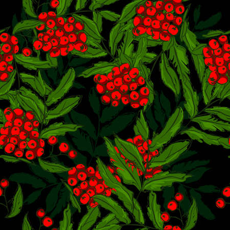 Seamless pattern with rowan. Vector Illustration. Sketch red berries and green leavesのイラスト素材