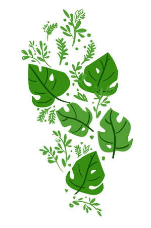 Tropical palm leaves beautiful illustration postcardのイラスト素材