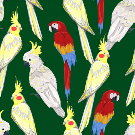 Pattern with beautiful parrots. Birds green background Vector Illustration.