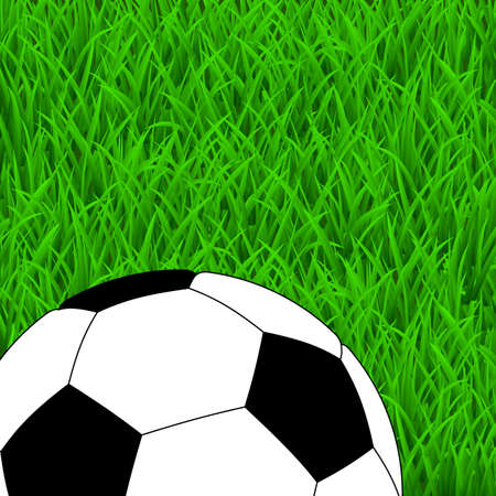 Soccer ball on the green grass. Top viewのイラスト素材