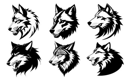 Set of wolf heads with open mouth and bared fangs, with different angry expressions of the muzzle. Symbols for tattoo, emblem or logo, isolated on a white background.のイラスト素材