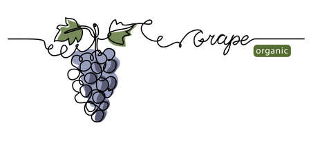Grape bunch vector illustration. One continuous line drawing art illustration with lettering organic...