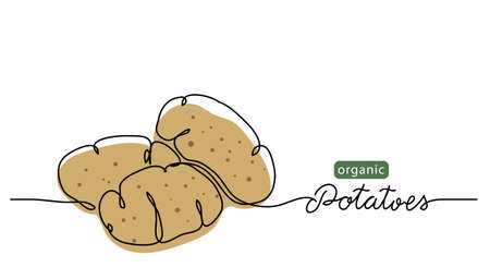 Potatoes vector illustration. One line drawing art illustration with lettering organic potatoes.のイラスト素材