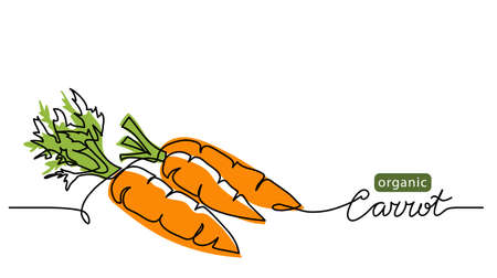 Carrot vector illustration, background. One line drawing art illustration with lettering organic carrot.のイラスト素材