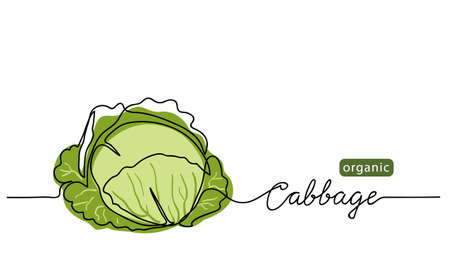 Cabbage head, cole simple vector illustration for background. One line drawing art illustration with lettering organic cabbageのイラスト素材