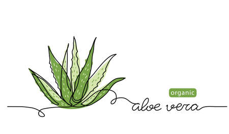 Aloe vera plant sketch, simple vector illustration, background, label design. One continuous line drawing art illustration with lettering organic aloe veraのイラスト素材