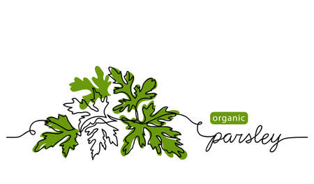 Parsley sprig, branch vector illustration, background, label design. One continuous line drawing art illustration with lettering organic parsleyのイラスト素材