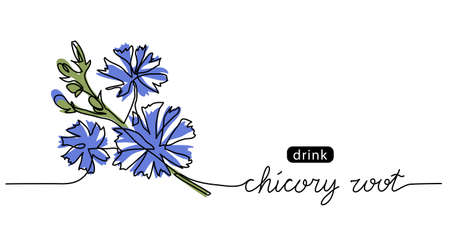 Chicory, succory, cichorium wild blue flower sketch. One continuous art line drawing of Chicoryのイラスト素材