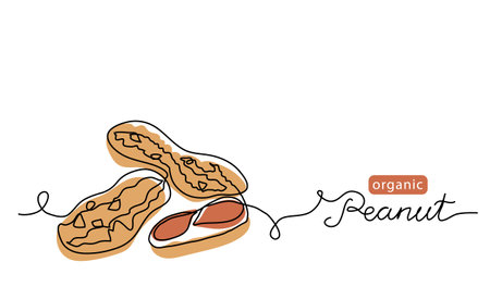 Peanut simple vector drawing. One continuous line art border, background, label design with...