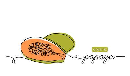 Papaya, pawpaw section with seeds vector illustration. One line art drawing with lettering organic papayaのイラスト素材
