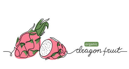 Dragon fruit, pitaya simple color vector illustration. One continuous line art drawing with lettering organic Dragon fruit, pitahayaのイラスト素材