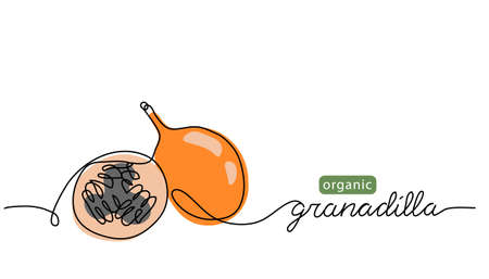 Granadilla, orange passion fruit simple color vector illustration. One continuous line art drawing with lettering organic granadilla fruitのイラスト素材