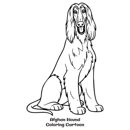 Cartoon Illustration of Afghan Hound Dog Coloring Bookのイラスト素材