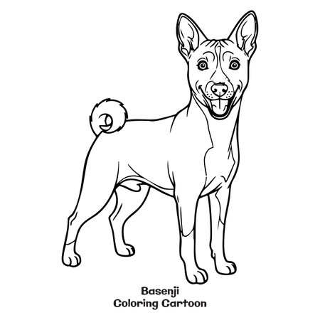 Basenji dog coloring page. Cute cartoon vector illustration.のイラスト素材