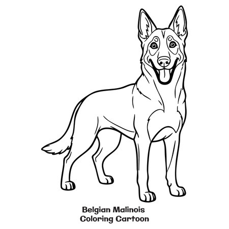 Vector illustration of a Belgian Malinois. Coloring book for children.のイラスト素材