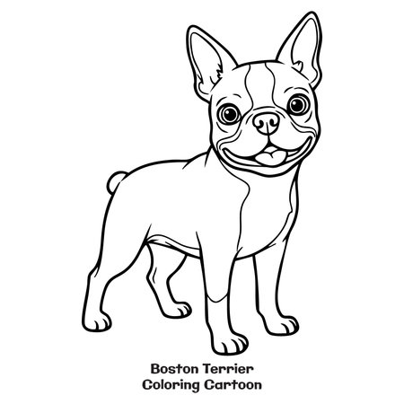 Vector illustration of a Boston Terrier. Coloring book for children.のイラスト素材