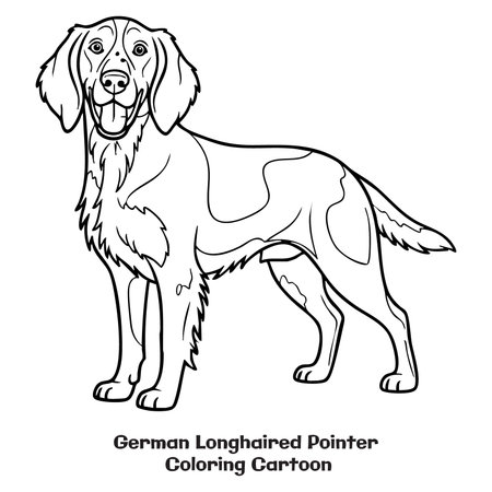 Vector Illustration of German Longhaired Pointer for Coloring Book.のイラスト素材