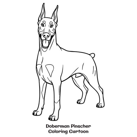 Doberman pinscher. Coloring book for children. vector illustrationのイラスト素材