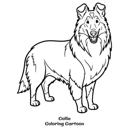 Vector image of a sheepdog. Coloring book for children. Collie breedのイラスト素材