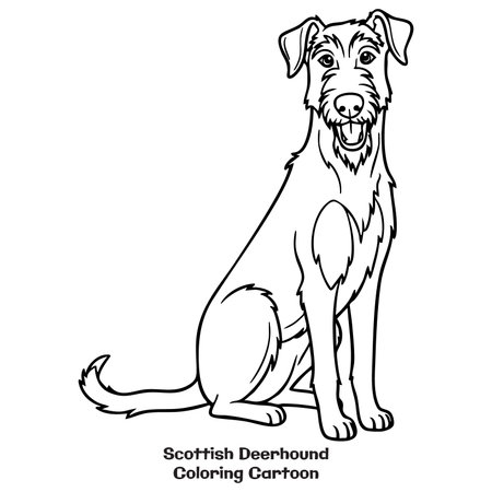 Vector image of a dog sitting on the floor and looking at the camera. Scottish Deerhound breed.のイラスト素材