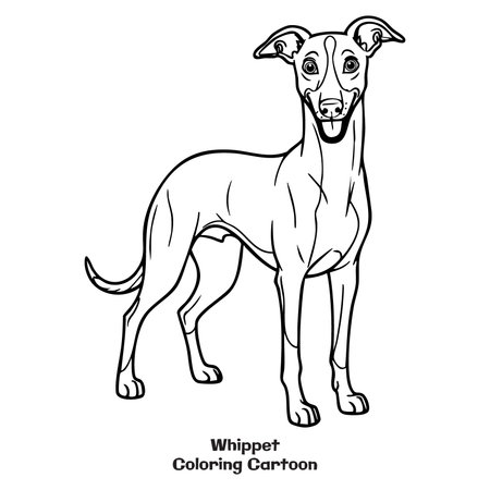 Coloring book for children, Whippet. Vector illustration.のイラスト素材
