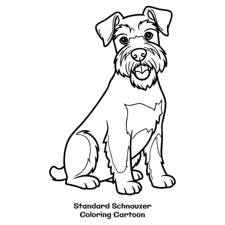 Vector illustration of a dog breed Standard Schnauzer on a white backgroundのイラスト素材