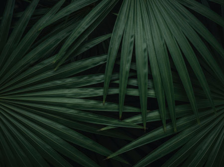 Tropical background with palm leaves. Nature backdrop. Dark tone.の素材