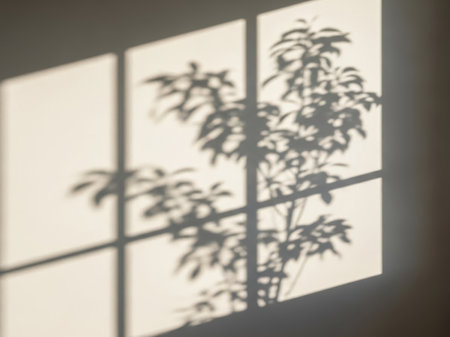 Shadow overlay effect for photo and mockups. Natural light casts shadows from the window.の素材