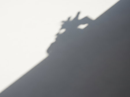Shadow of the shadow of a palm tree on a white wall.の素材