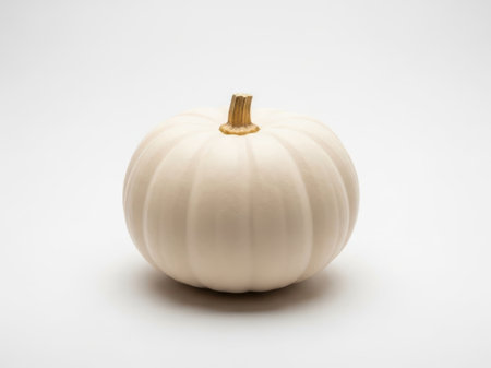 White pumpkin isolated on white background. Close up. Studio shot.の素材