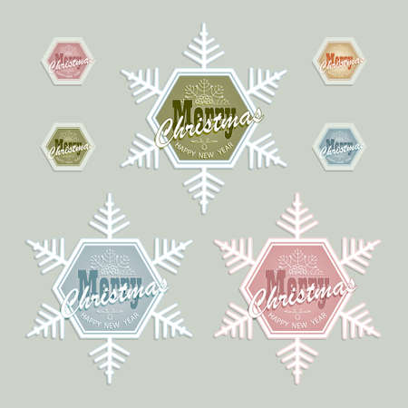 Christmas snowflake in different colors set vector illustration.のイラスト素材