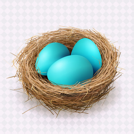 Easter blue eggs in a nest, isolated design element.のイラスト素材