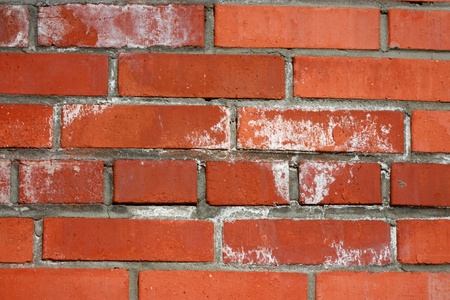 brick wall covered with white moldの写真素材