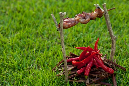 barbecue on a stick with red pepper, depicting the fireの写真素材
