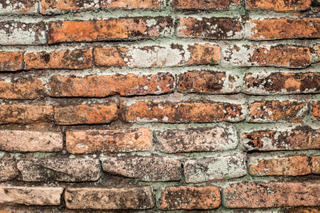 brick wall の写真素材