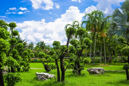 Magnificent tranquil landscapeの写真素材