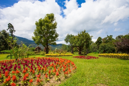 Magnificent tranquil landscape.の写真素材