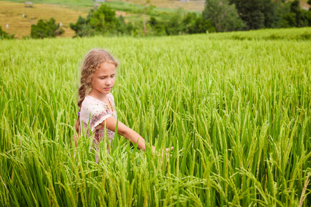 teen girl on the rice paddies in the day timeの写真素材