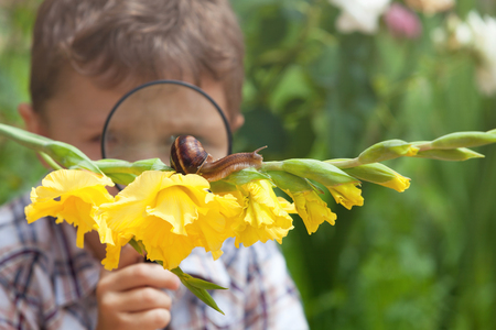Happy little boy playing in the park with snail at the day time. He having fun on the garden. Concept of the kid is ready to go to school.の写真素材