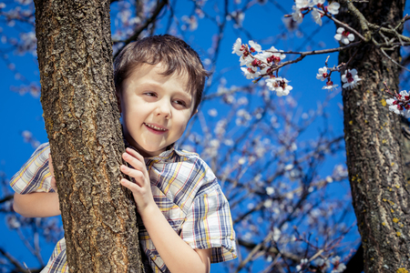 Happy boy sitting on a fully blossomed tree during spring.の写真素材