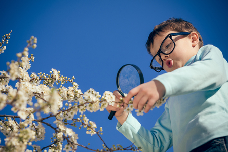 Boy studying flowers with a magnifying glass.の写真素材